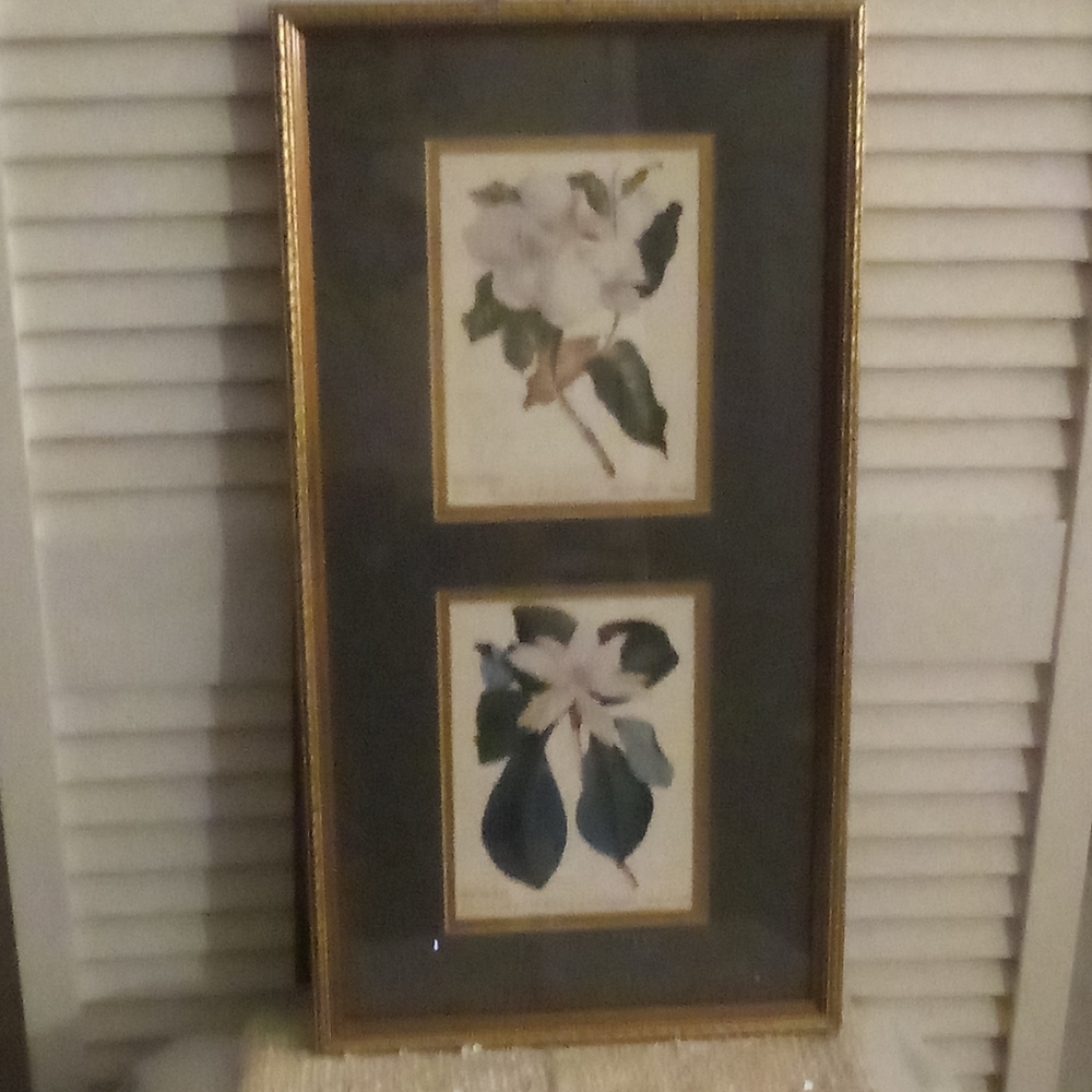Vintage - Rand. Hort. Chelf.